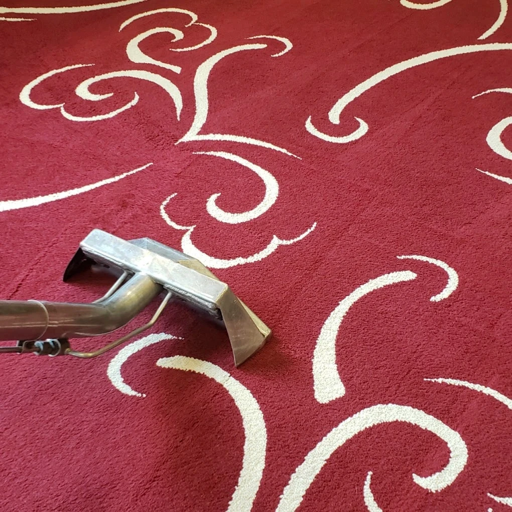 Area Rug Cleaning